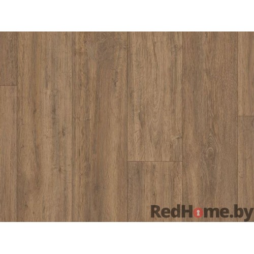 Линолеум Таркетт Lux Falcon 4